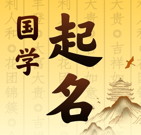 衡南国学起名 人工起名一对一